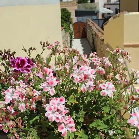 Ogliastra Luxury - Ajpsardinia