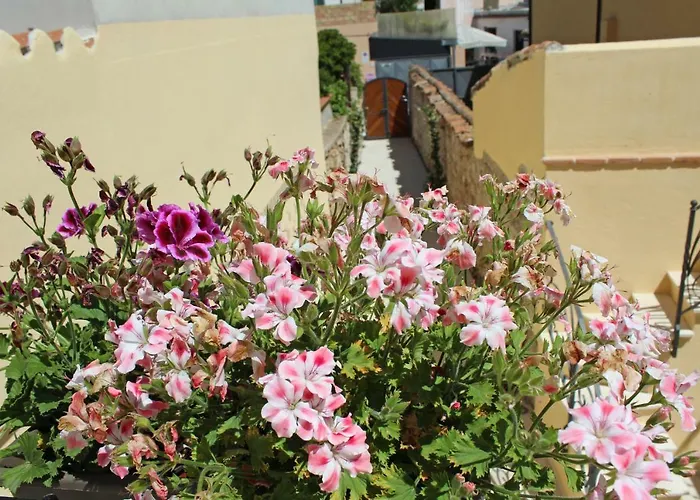 Ogliastra Luxury - Ajpsardinia
